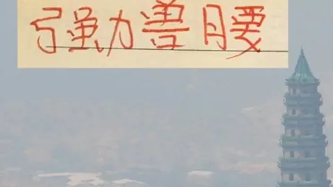 BB贝博艾弗森体育